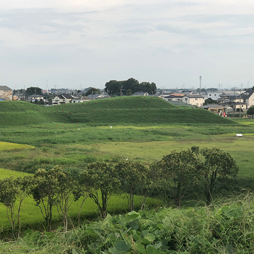さきたま古墳公園