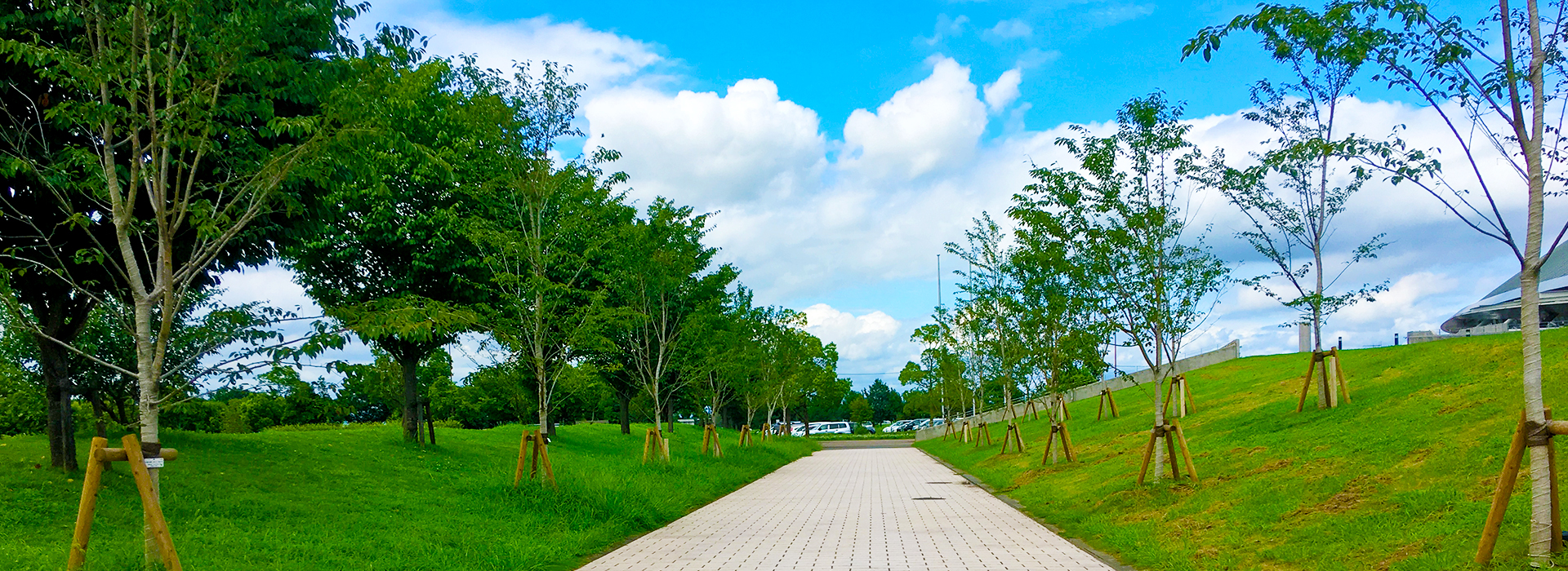 フォトギャラリー 熊谷スポーツ文化公園の風景