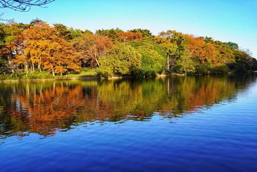 さいたまの自然