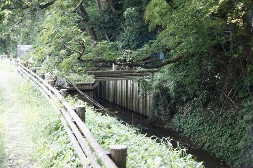 見沼通船堀（東縁）